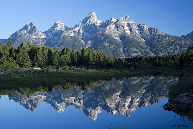 Corel AfterShot Pro 3 Contest Winners Announced – Stunning Photos Revealed!