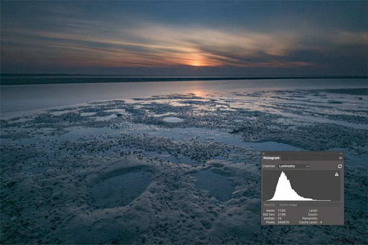 Master Flat Picture Styles: Elevate Your Photography for Stunning Results