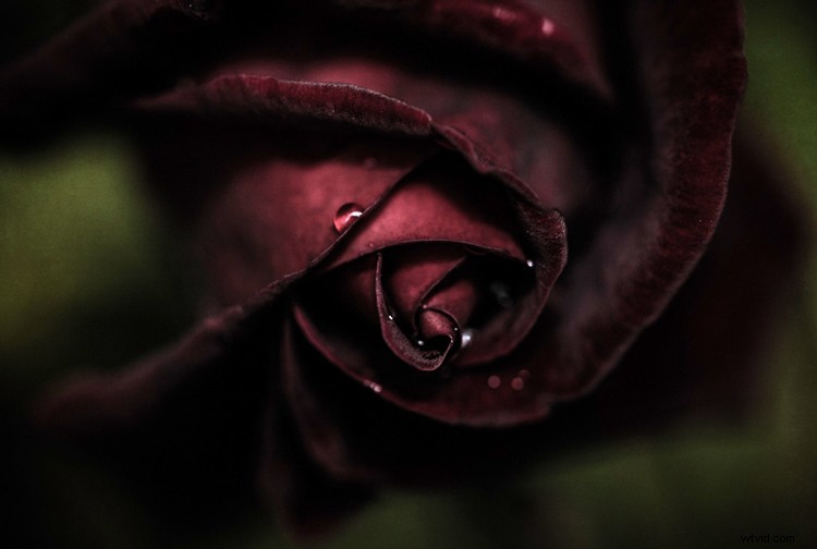 10 Essential Secrets Every Beginner Photographer Needs to Know