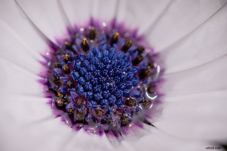 10 Essential Secrets Every Beginner Photographer Needs to Know