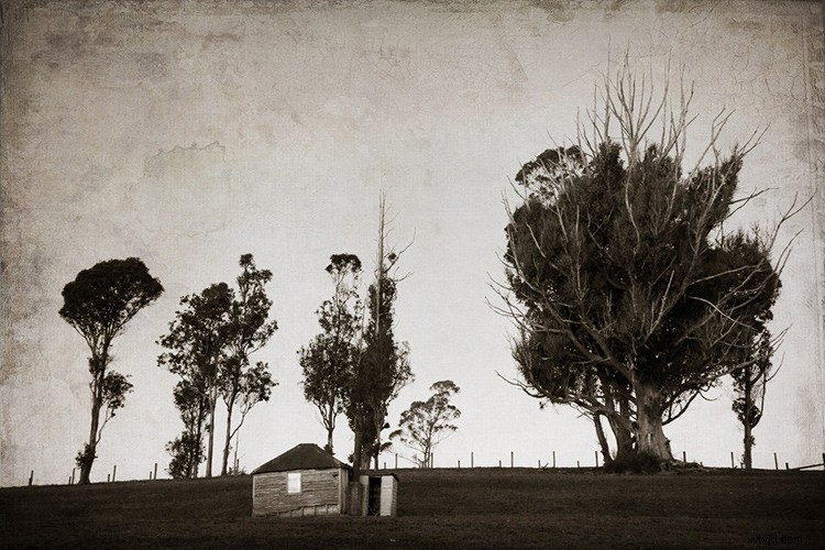 10 Essential Secrets Every Beginner Photographer Needs to Know