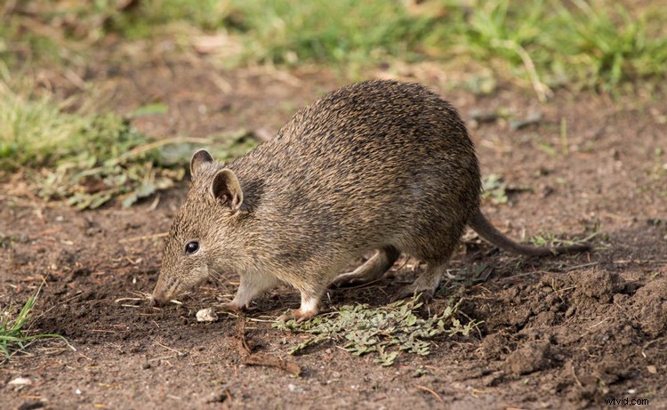 10 Essential Secrets Every Beginner Photographer Needs to Know