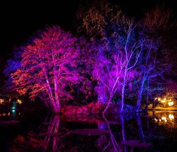 10 Essential Secrets Every Beginner Photographer Needs to Know