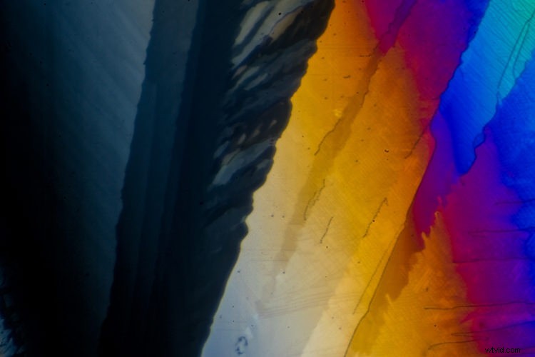 Master Photomicroscopy: Capture the Stunning Microscopic World with Ease