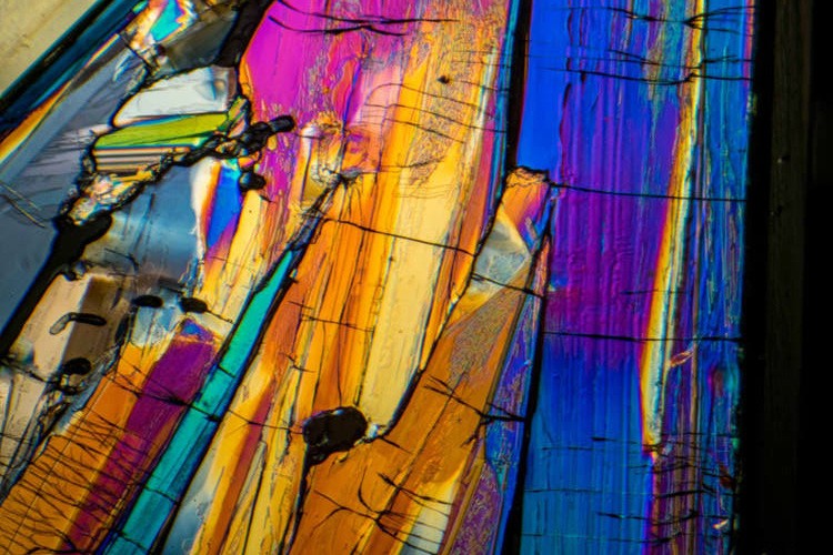 Master Photomicroscopy: Capture the Stunning Microscopic World with Ease