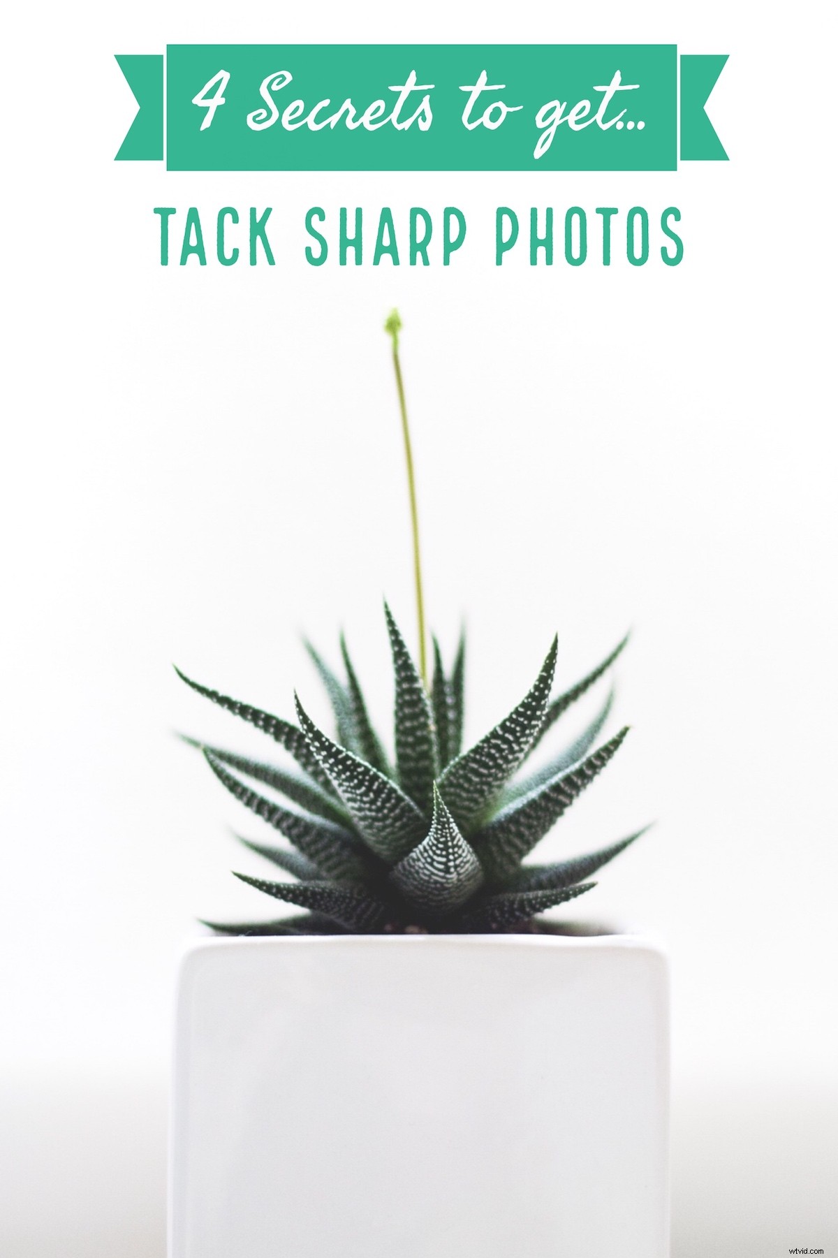 4 Proven Secrets to Capture Tack-Sharp Photos Every Time