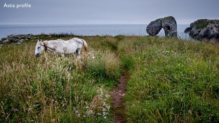 Craft Impactful Photos with a Limited Color Palette: Expert Photography Guide