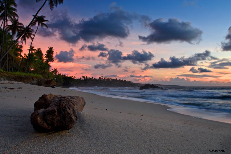 5 Proven Landscape Photography Tips from Professional Photographers