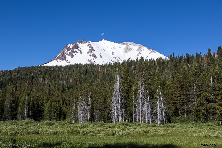 How to Capture Stunning Vertical Panoramas (Vertoramas): Pro Guide