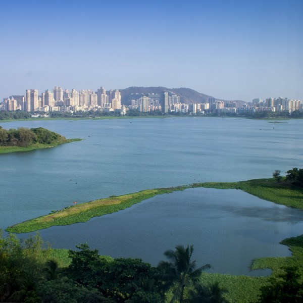 5 Essential Tips for Beginner Photographers Getting Started