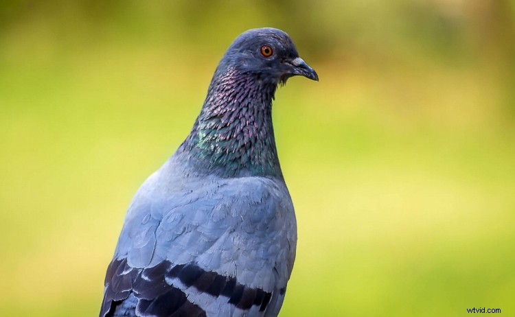 5 Essential Tips for Beginner Photographers Getting Started