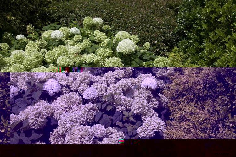 Create Stunning Abstract Glitch Art Photos: Step-by-Step Guide