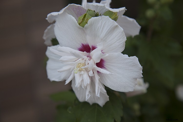 Create Stunning Abstract Glitch Art Photos: Step-by-Step Guide