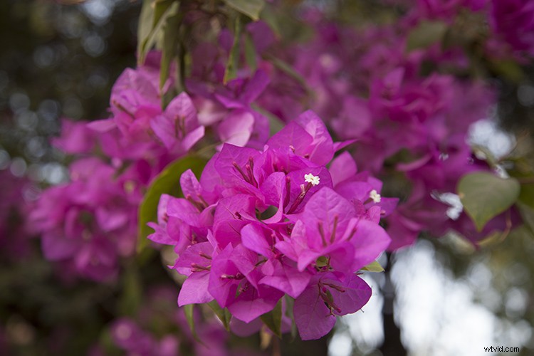 Create Stunning Abstract Glitch Art Photos: Step-by-Step Guide