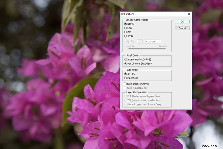 Create Stunning Abstract Glitch Art Photos: Step-by-Step Guide