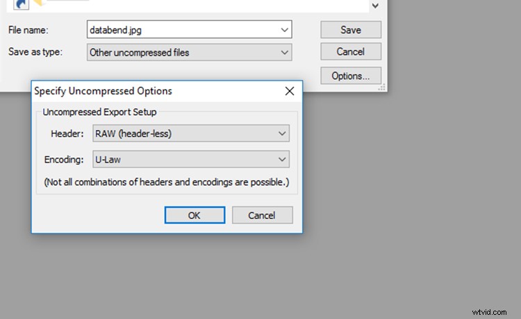 Create Stunning Abstract Glitch Art Photos: Step-by-Step Guide
