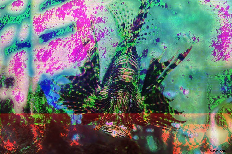 Create Stunning Abstract Glitch Art Photos: Step-by-Step Guide