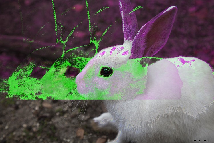 Create Stunning Abstract Glitch Art Photos: Step-by-Step Guide