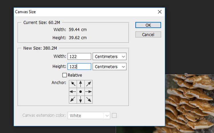 Transform Your Photos into Mesmerizing Kaleidoscope Patterns: Easy Tutorial