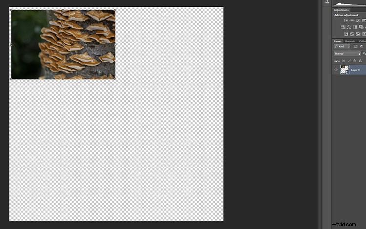 Transform Your Photos into Mesmerizing Kaleidoscope Patterns: Easy Tutorial