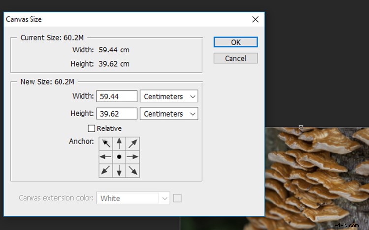 Transform Your Photos into Mesmerizing Kaleidoscope Patterns: Easy Tutorial