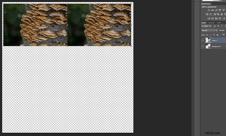 Transform Your Photos into Mesmerizing Kaleidoscope Patterns: Easy Tutorial