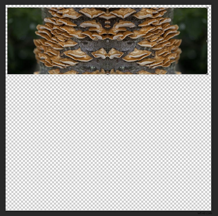 Transform Your Photos into Mesmerizing Kaleidoscope Patterns: Easy Tutorial