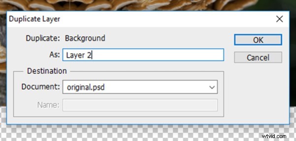 Transform Your Photos into Mesmerizing Kaleidoscope Patterns: Easy Tutorial