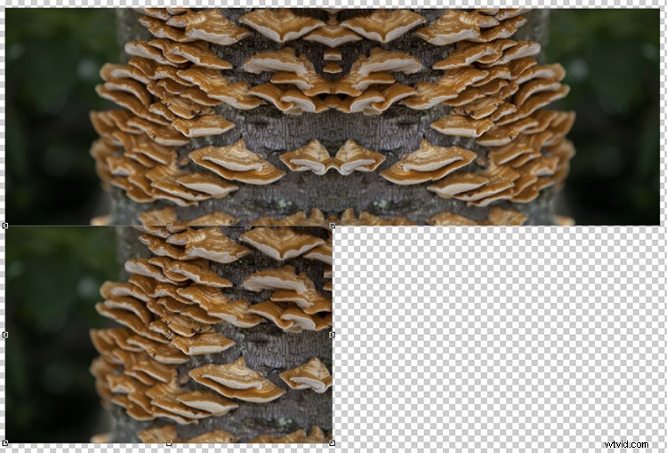 Transform Your Photos into Mesmerizing Kaleidoscope Patterns: Easy Tutorial