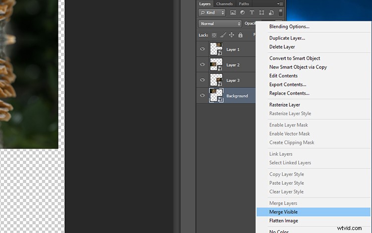 Transform Your Photos into Mesmerizing Kaleidoscope Patterns: Easy Tutorial