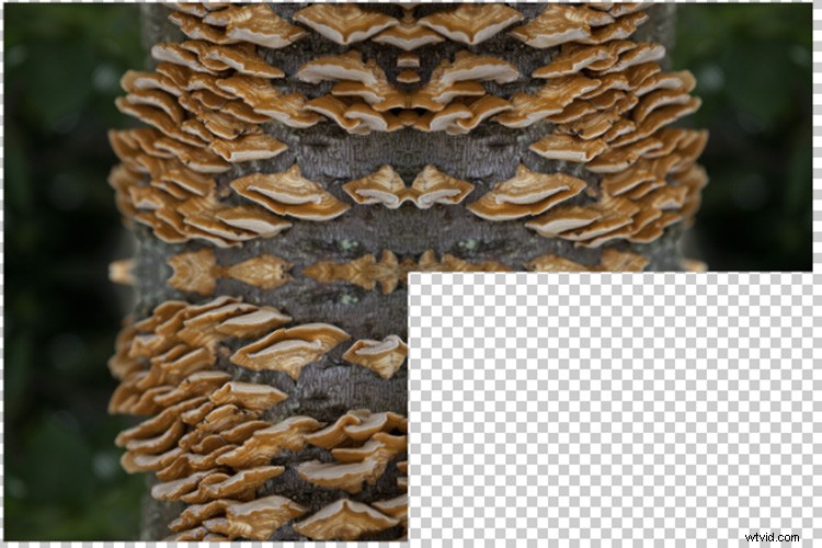 Transform Your Photos into Mesmerizing Kaleidoscope Patterns: Easy Tutorial