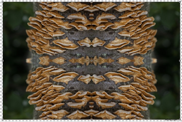 Transform Your Photos into Mesmerizing Kaleidoscope Patterns: Easy Tutorial