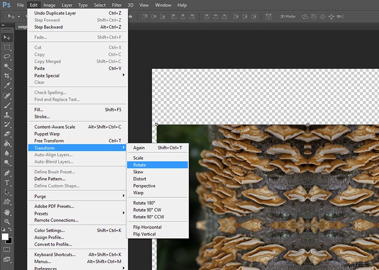 Transform Your Photos into Mesmerizing Kaleidoscope Patterns: Easy Tutorial