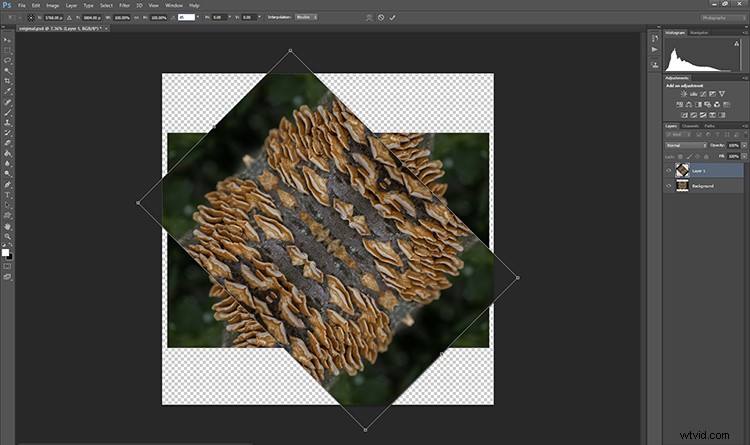 Transform Your Photos into Mesmerizing Kaleidoscope Patterns: Easy Tutorial