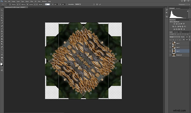 Transform Your Photos into Mesmerizing Kaleidoscope Patterns: Easy Tutorial