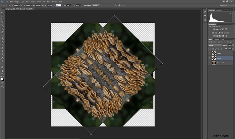 Transform Your Photos into Mesmerizing Kaleidoscope Patterns: Easy Tutorial