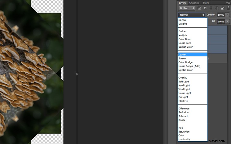 Transform Your Photos into Mesmerizing Kaleidoscope Patterns: Easy Tutorial