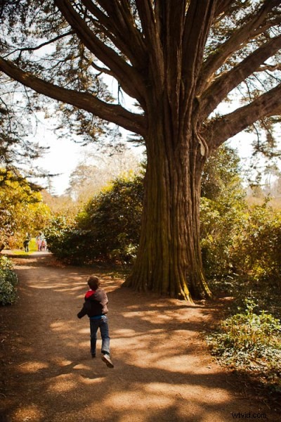 8 Photography Pitfalls That Could Get You in Trouble – And How to Avoid Them