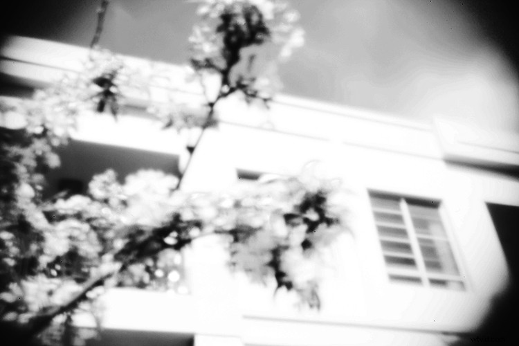 DIY Guide: Build a Pinhole Camera from Your DSLR Body Cap