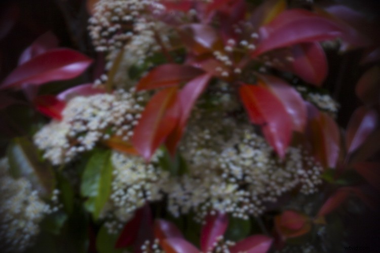 DIY Guide: Build a Pinhole Camera from Your DSLR Body Cap