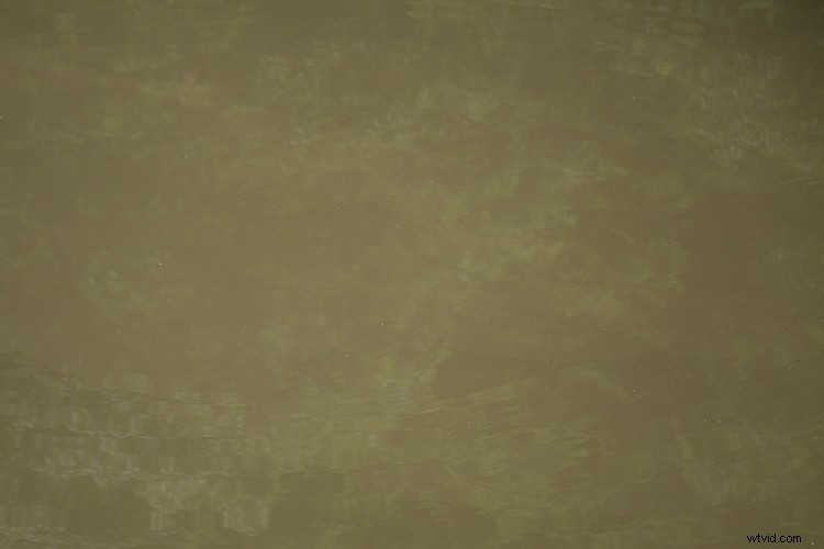 Create and Master Your Own Photoshop Texture Library: Step-by-Step Guide