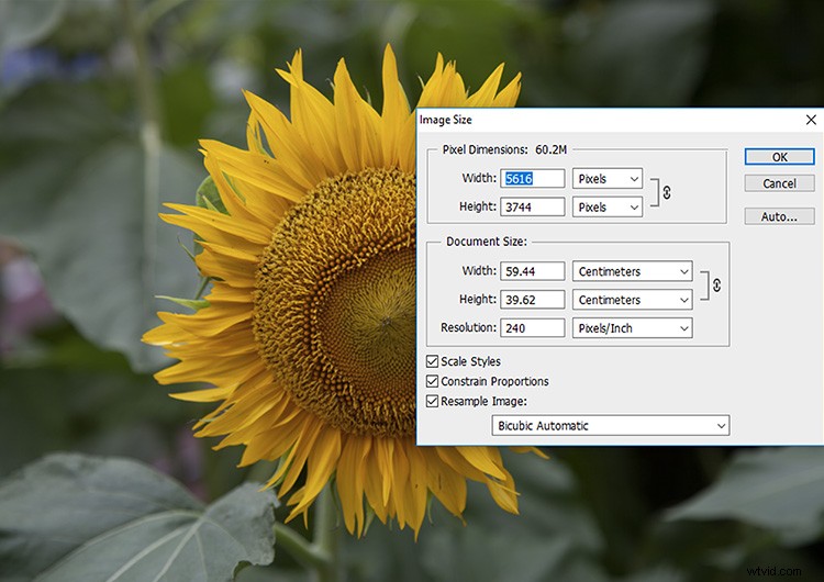 Create and Master Your Own Photoshop Texture Library: Step-by-Step Guide