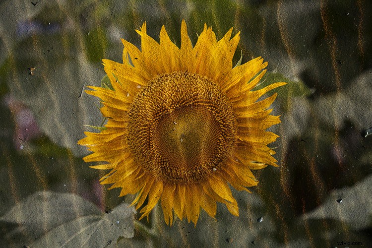 Create and Master Your Own Photoshop Texture Library: Step-by-Step Guide