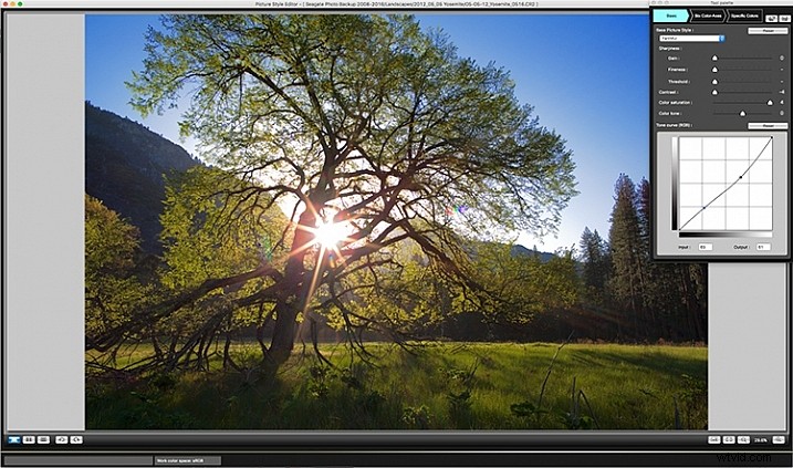 Master In-Camera Picture Styles: Customize Your Images Like a Pro