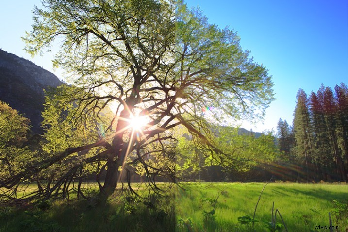 Master In-Camera Picture Styles: Customize Your Images Like a Pro