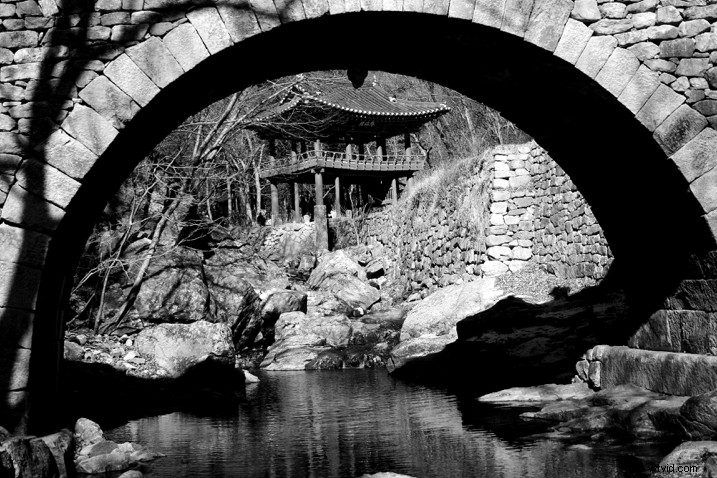 8 Compelling Reasons to Revisit Your Favorite Photography Locations Repeatedly