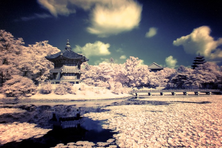 8 Compelling Reasons to Revisit Your Favorite Photography Locations Repeatedly