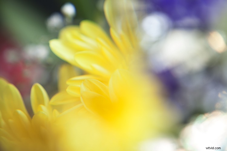 Create Stunning Artistic Photos with a Magnifying Glass: Pro Techniques Revealed