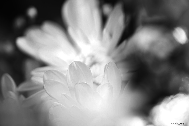 Create Stunning Artistic Photos with a Magnifying Glass: Pro Techniques Revealed