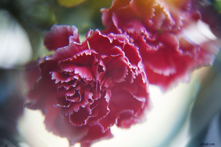 Create Stunning Artistic Photos with a Magnifying Glass: Pro Techniques Revealed